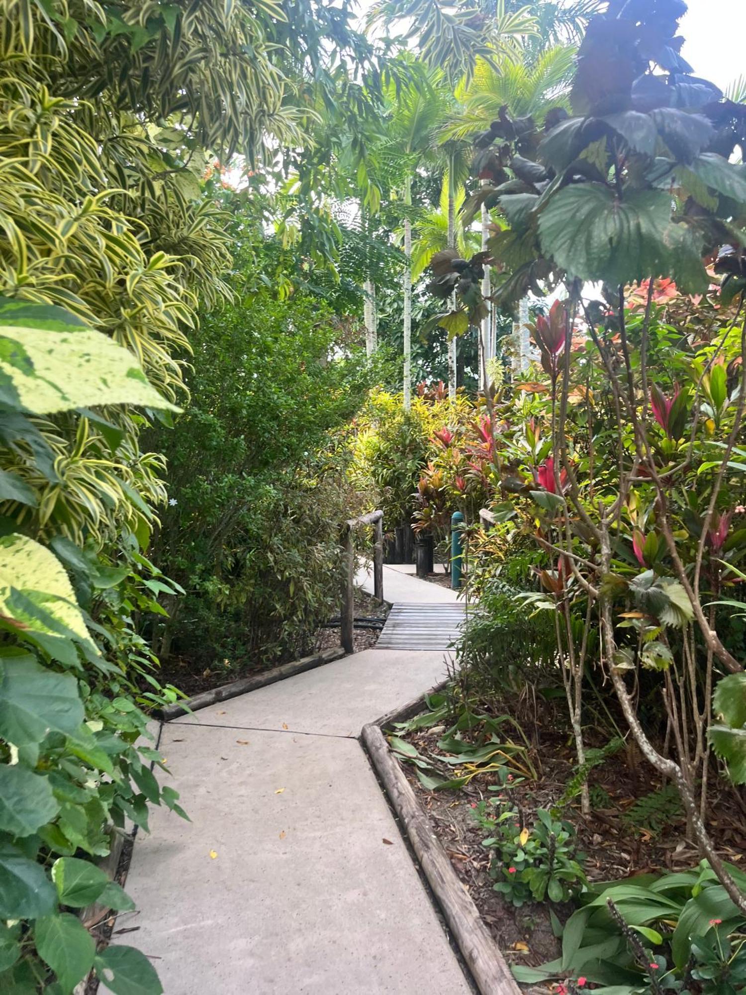 The Villas Palm Cove Exterior foto